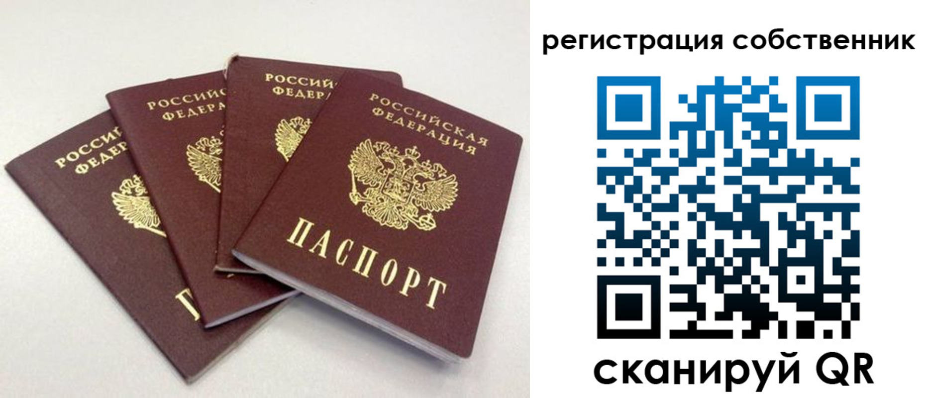 прописка для школы в Кремёнках